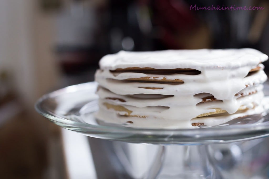 Delicious Honey Cake Medovik