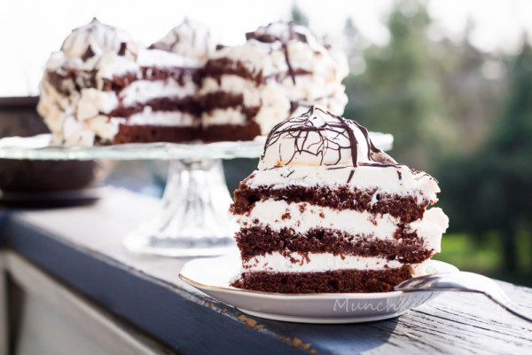 Moist Chocolate Cake with Sour Cream Frosting