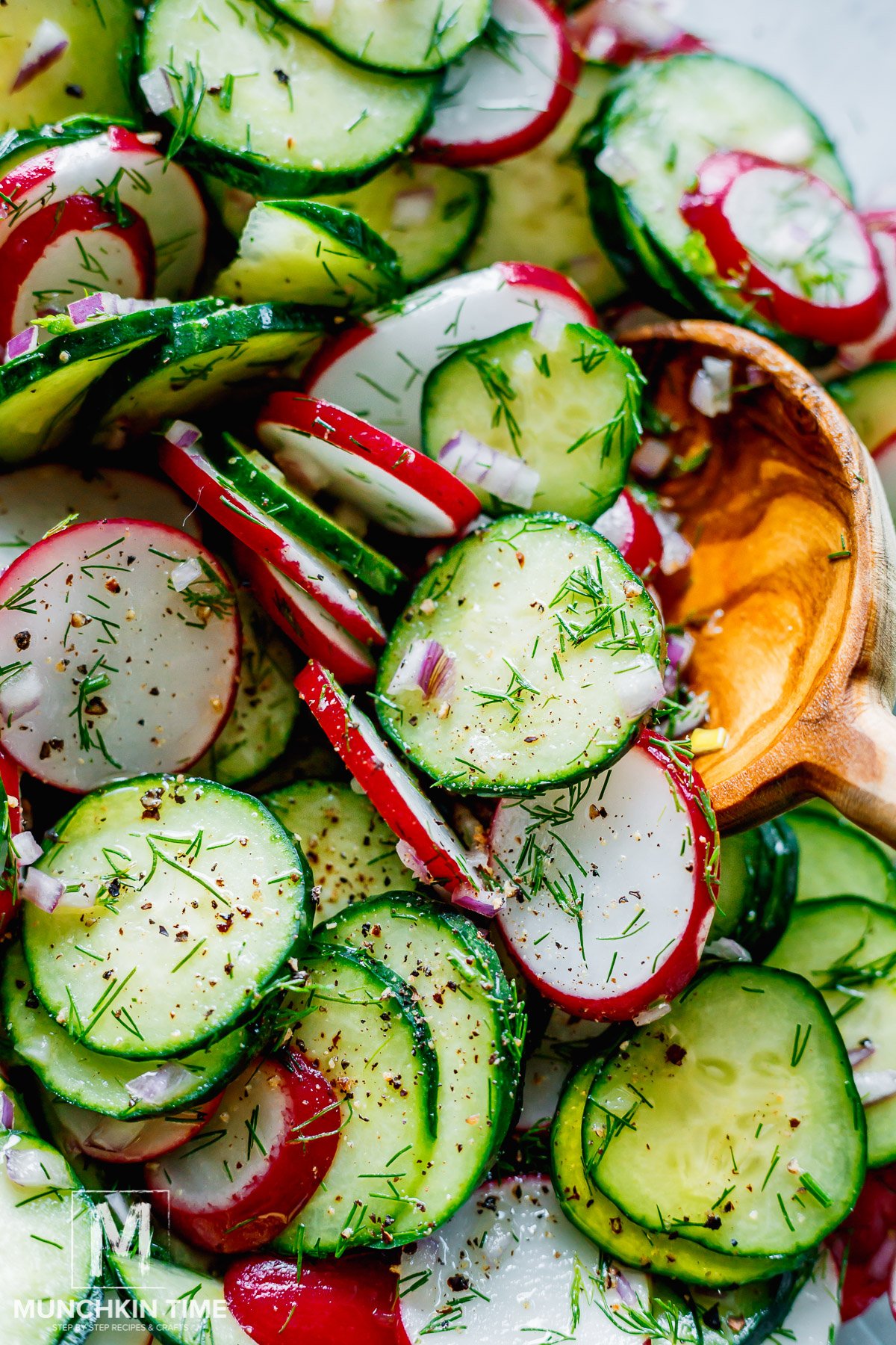 Cucumber Radish Dill Salad