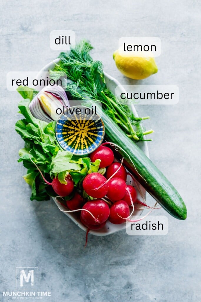 Cucumber Radish Salad: Fresh and Easy Recipe