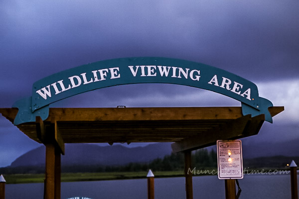 Wildlife Viewing Area at Wheeler Lodge Oregon Coast by Munchkin Time Blog #PNW #wheeleroregon