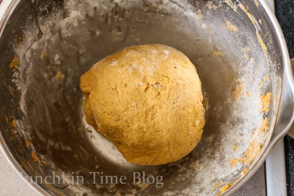 Pumpkin Scone dough kneaded into a big ball inside the flour. 