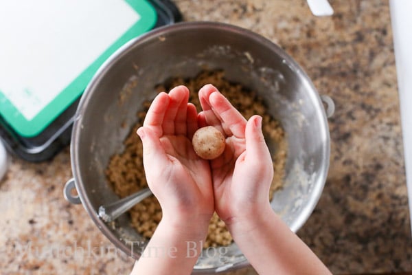 Hazelnut Cookies aka Russian Tea Cakes Recipe. These Hazelnut Cookies will melt in your mouth - www.munchkintime.com #russianteacakes #cookierecipe