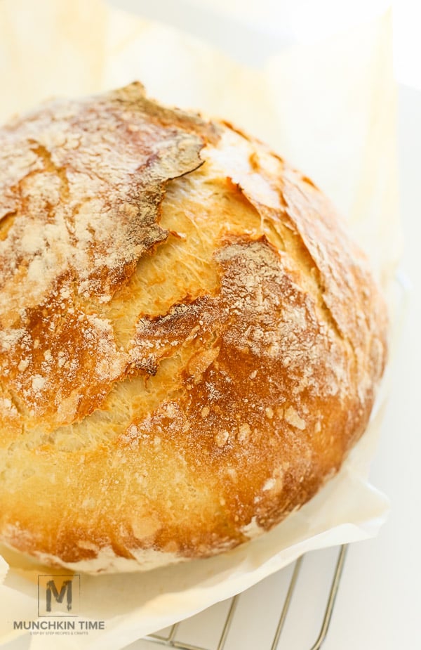 Best No Knead Bread Recipe