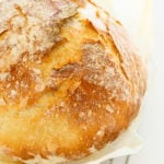 Best No Knead Bread Recipe