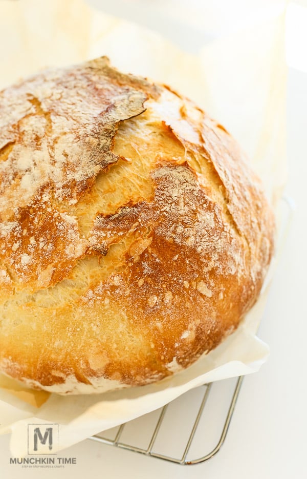 Best No Knead Bread Recipe