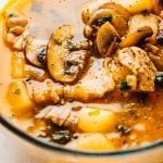 Mushroom Chicken Stew