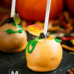 Hazelnut Pumpkin Cake Pop Recipe with step by step pictures and video. They are super easy to make and taste so delicious!