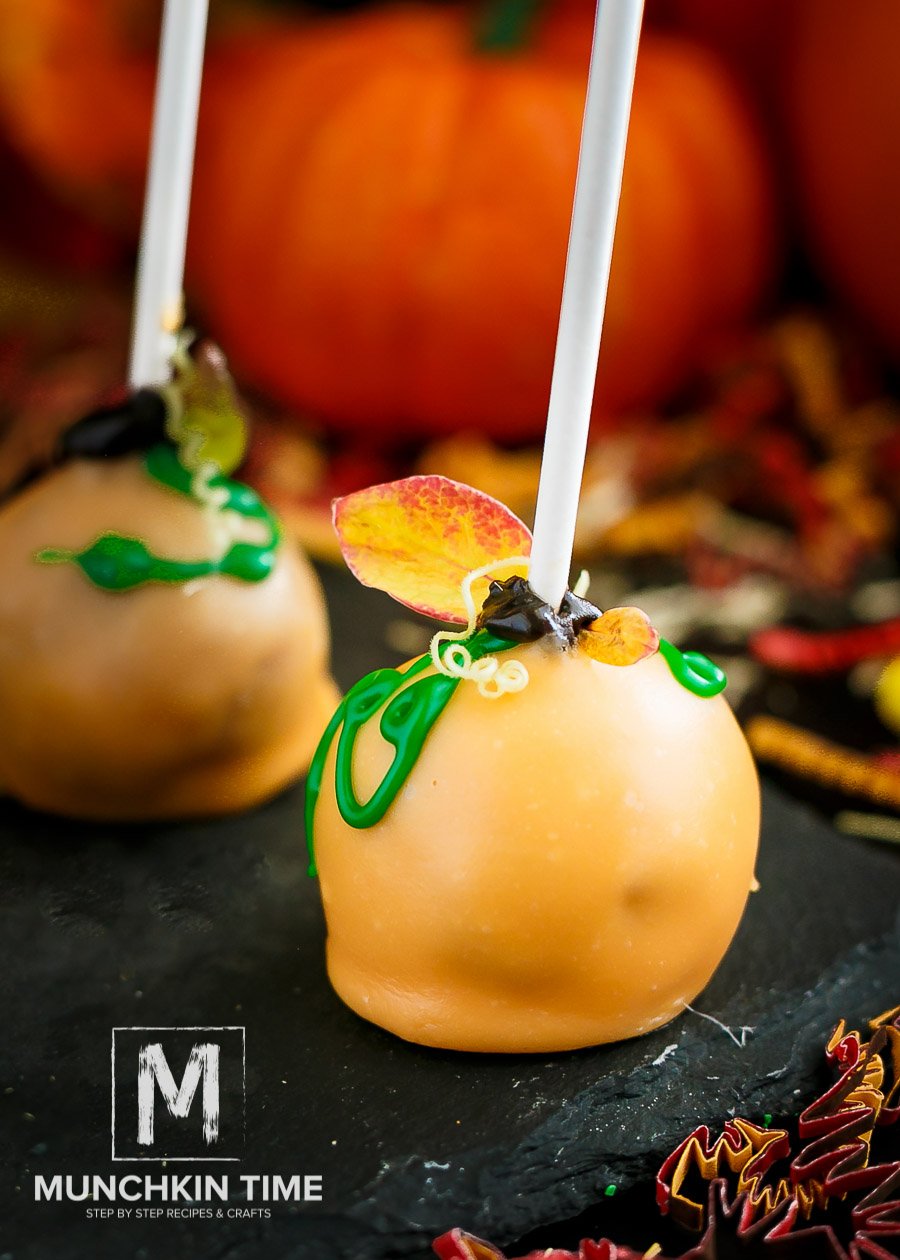 Hazelnut Pumpkin Cake Pop Recipe with step by step pictures and video. They are super easy to make and taste so delicious!