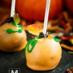 Pumpkin Cake Pops