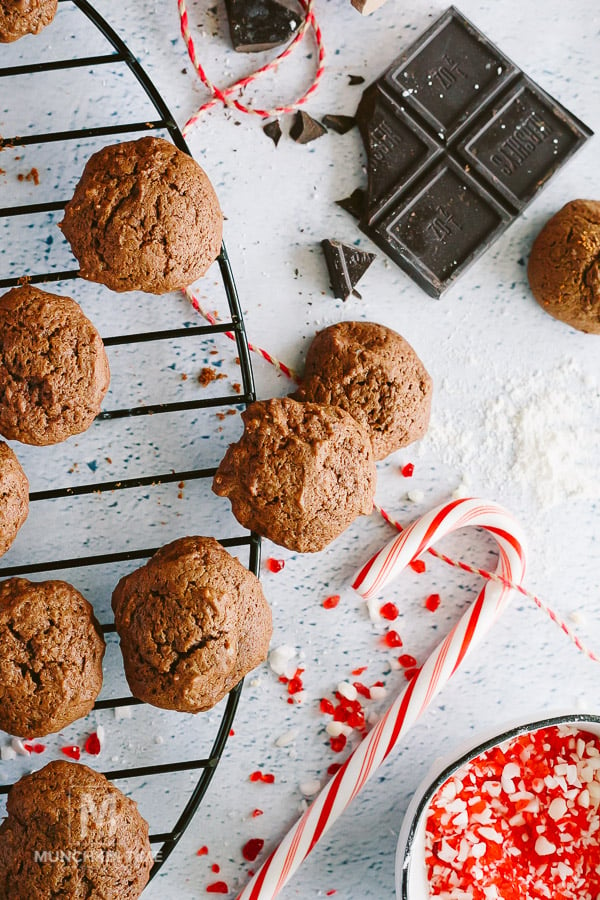 CHRISTMAS Cookies Whoopie Pie Recipe - delicious Christmas Cookies to put in the stocking or to deliver to your neighbors. They are so good!