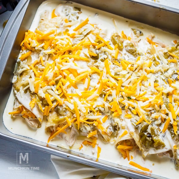 Creamy White Sauce Chicken Enchiladas Recipe www.munchkintime.com 2018 