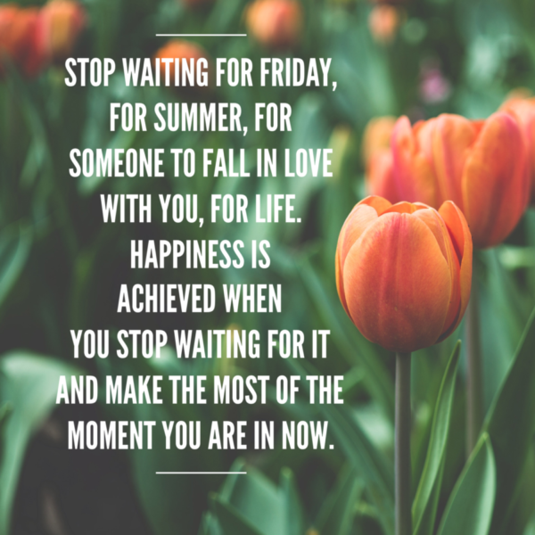 “Stop waiting for Friday, for summer, for someone to fall in love with you, for life. Happiness is achieved when you stop waiting for it and make the most of the moment you are in now.”