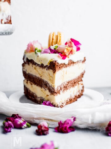 a slice of Chocolate Ice Cream Cake