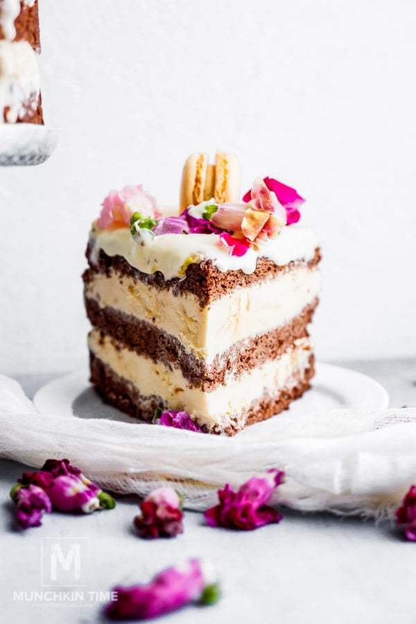 a slice of Chocolate Ice Cream Cake