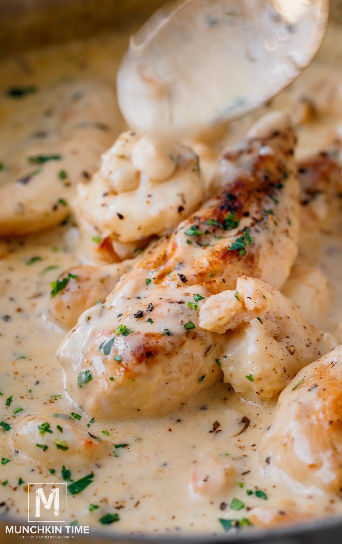 Chicken and shrimp Alfredo in a skillet