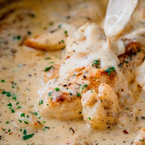 Chicken and shrimp Alfredo in a skillet
