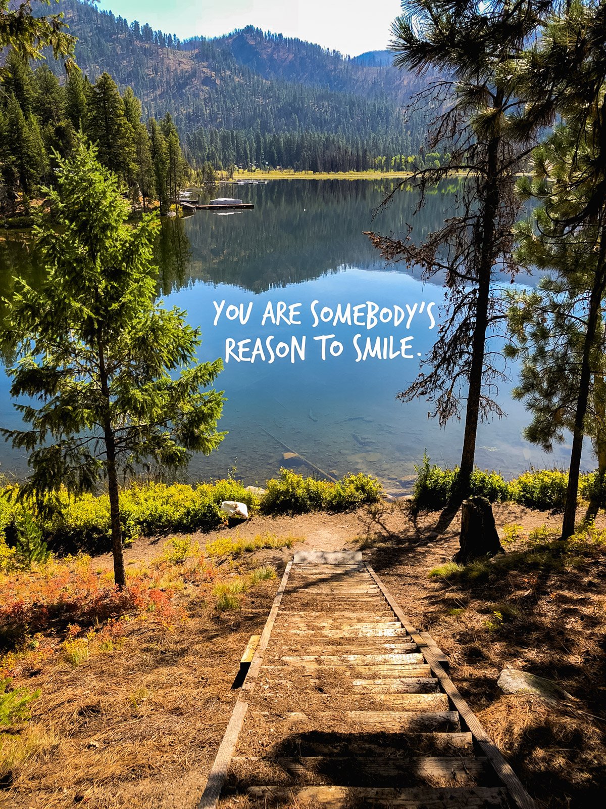 A picture of a lake and forest with a quote "You are somebody's reason to smile."
