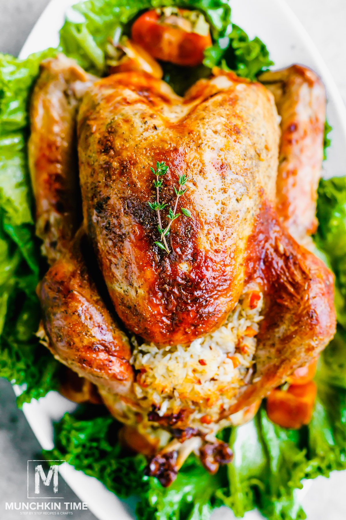 Easy Thanksgiving Turkey Recipe