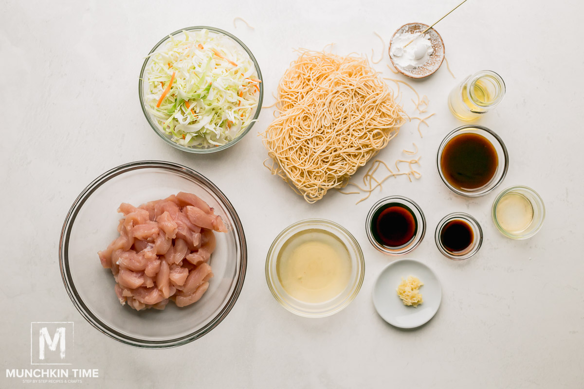 What ingredients you will need to make chow mein.