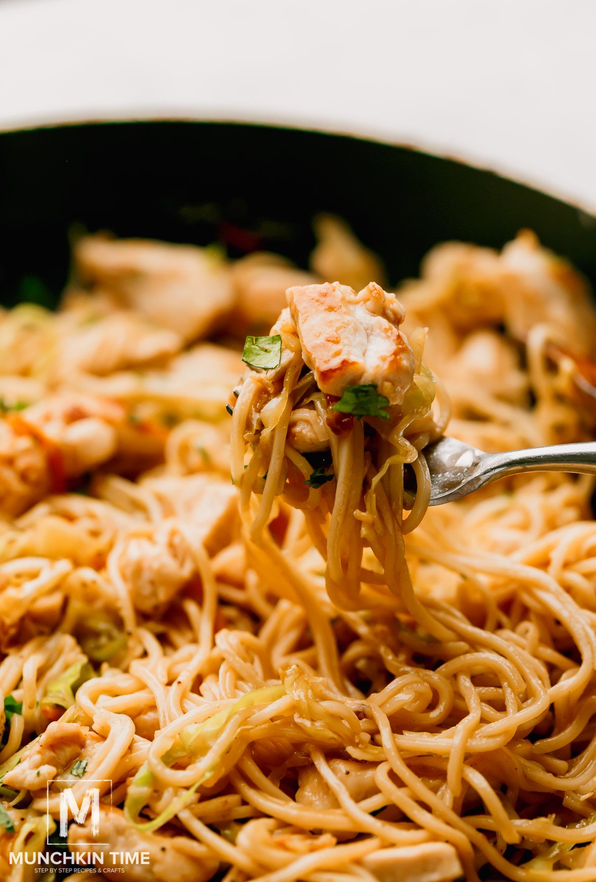 Chicken chow mein recipe.