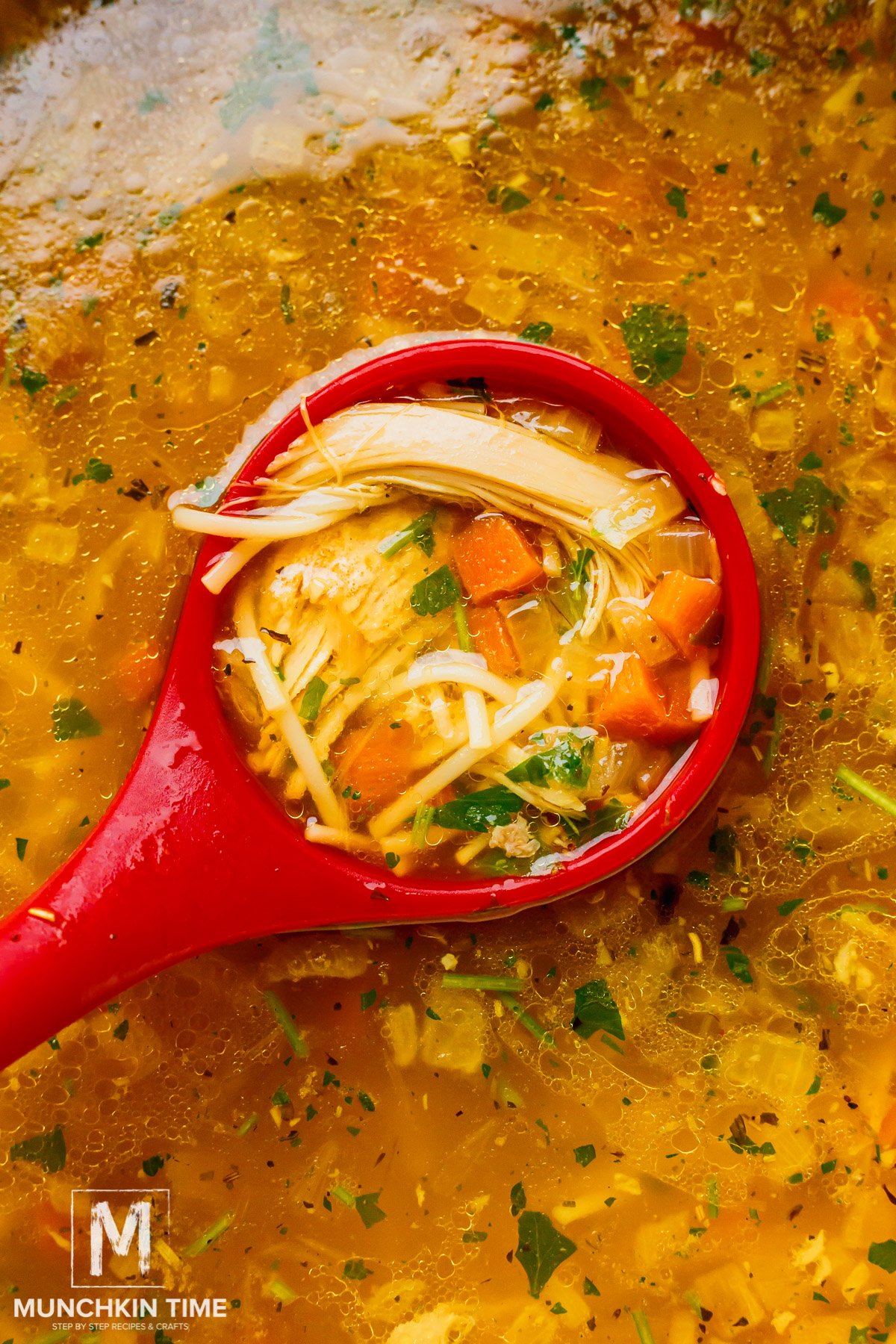 Homemade Chicken Noodle Soup Recipe