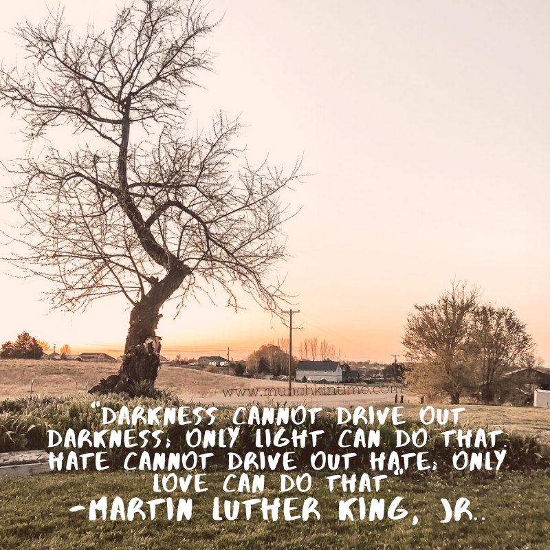 Darkness cannot drive out darkness; only light can do that. Hate cannot drive out hate; only love can do that. Martin Luther King, Jr.