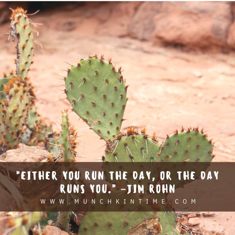Either you run the day, or the day runs you. –Jim Rohn
