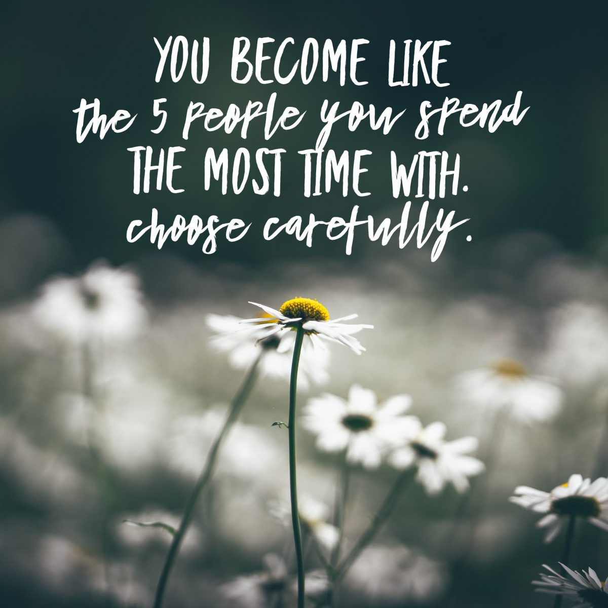 you become like the 5 people you spend the most time with. choose carefully.