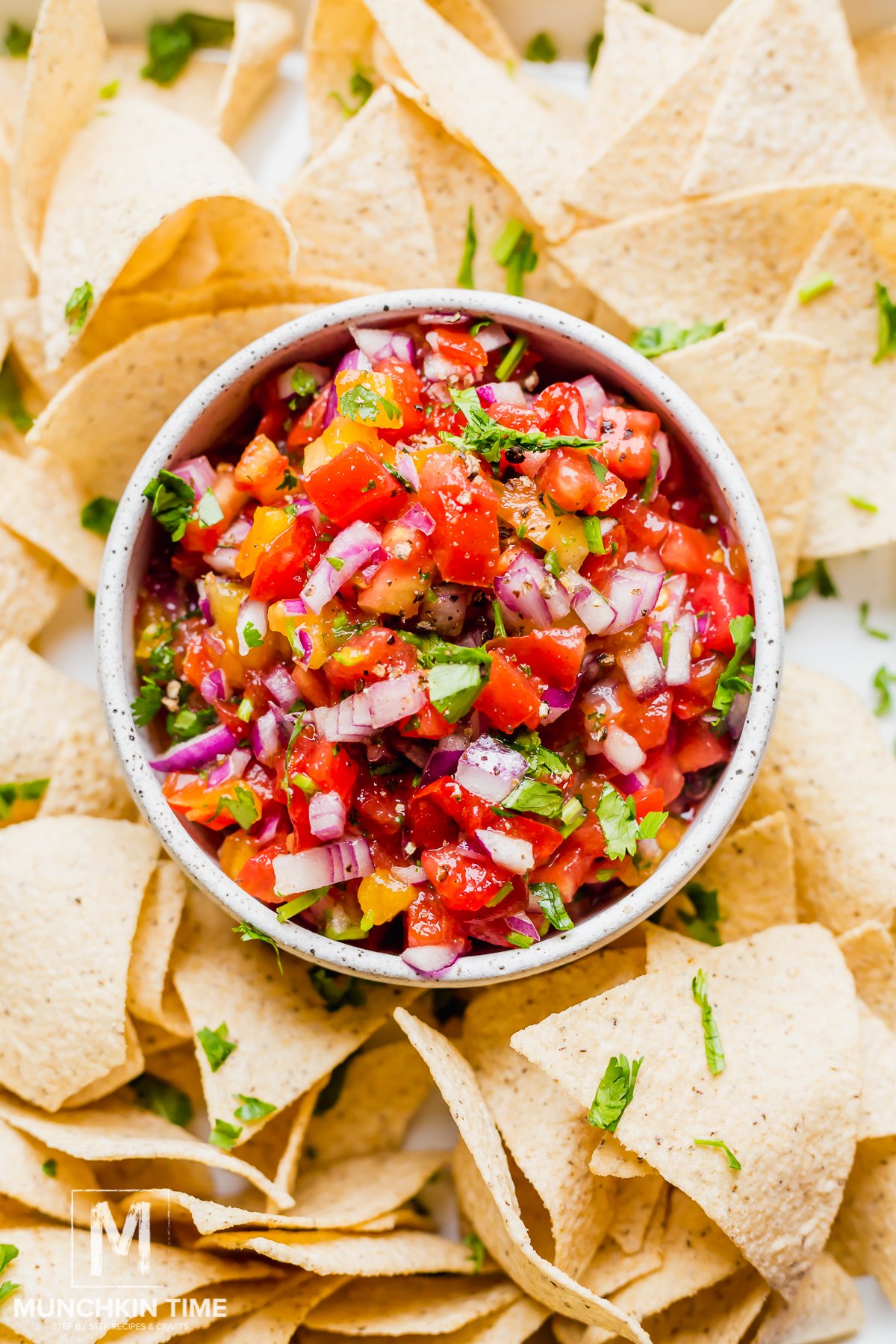 How To Make Salsa With Fresh Tomatoes