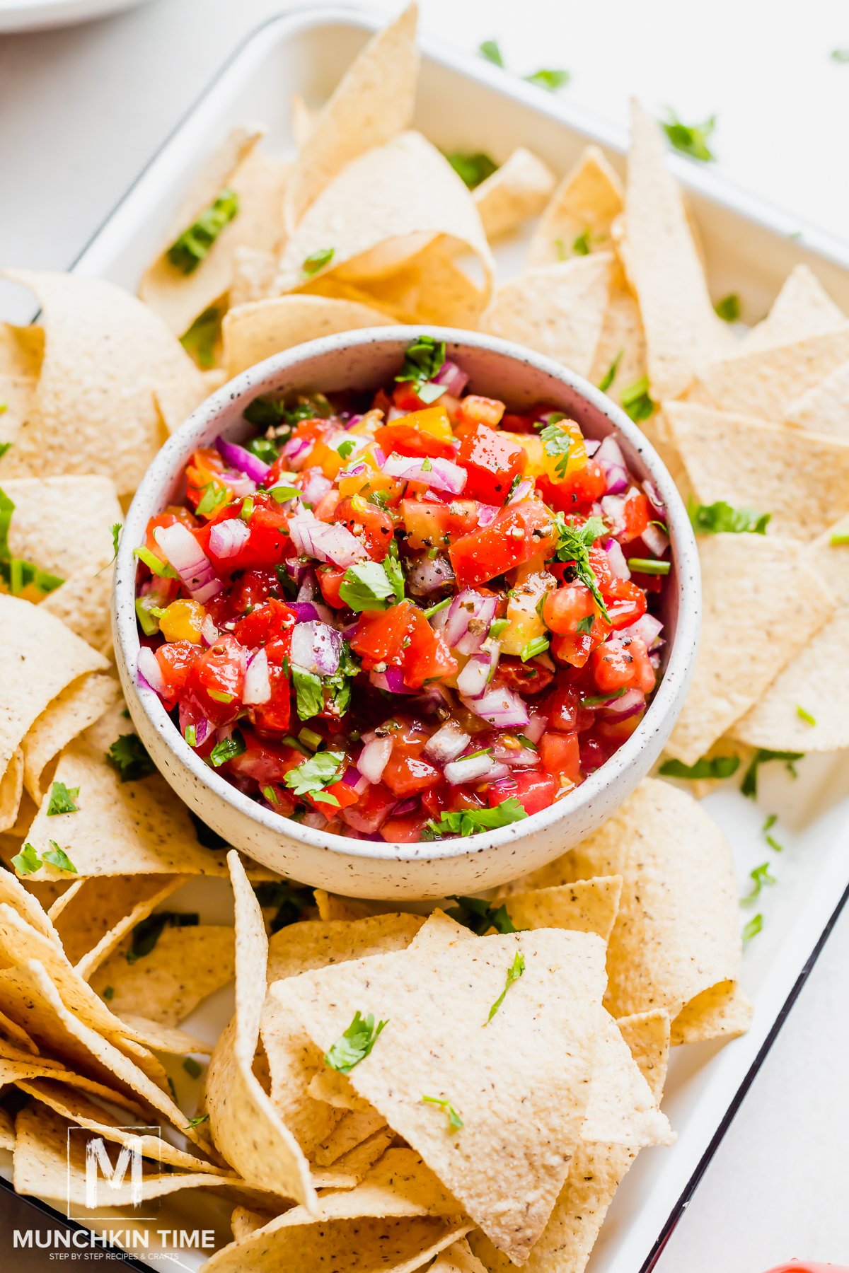 fresh tomato salsa and tortilla chips.
