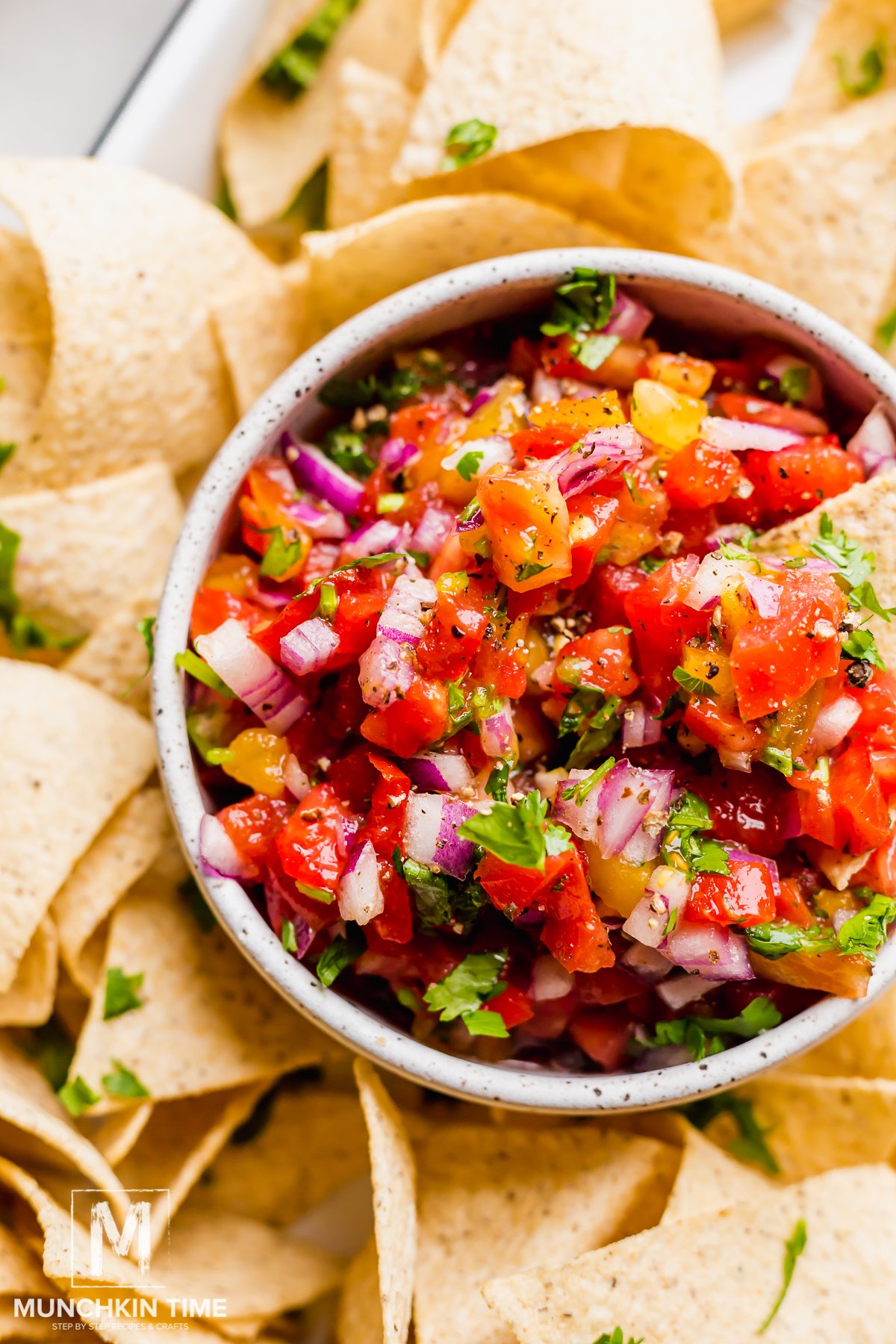 10 Minute Fresh Tomato Salsa - Scrummy Lane