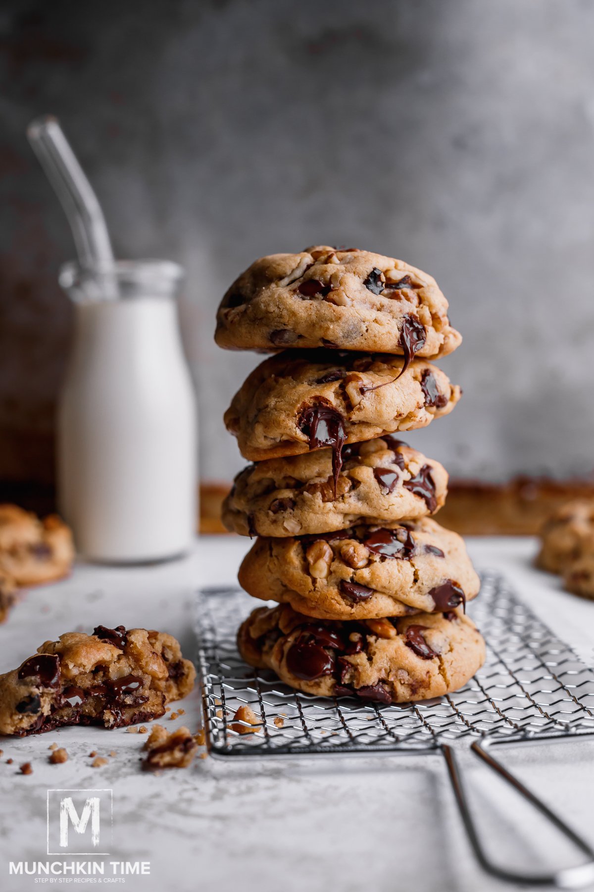 Best Giant Chocolate Chip Cookie