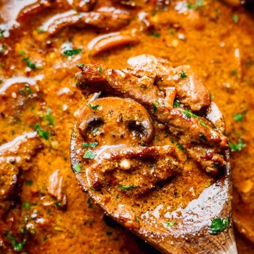 Tastefully Simple Beef Stroganoff