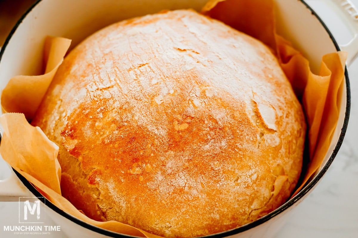 no knead bread