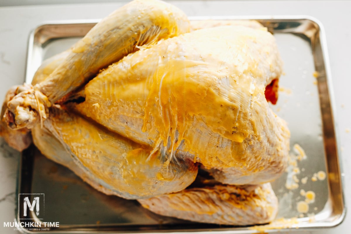 Best Way To Cook Turkey in an Oven Bag