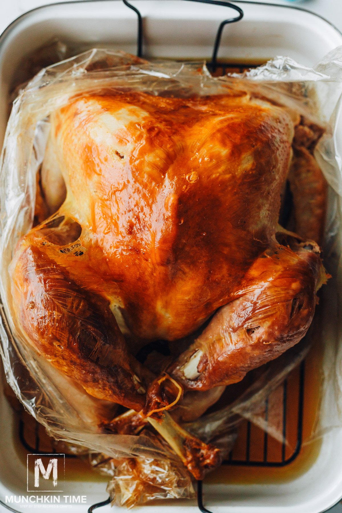 How to Cook a Turkey in a Bag - Munchkin Time