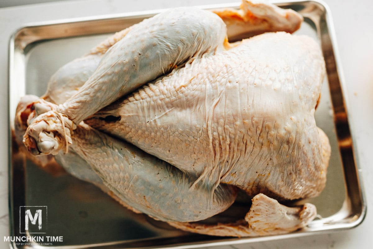 How to Cook a Turkey in a Bag - Munchkin Time