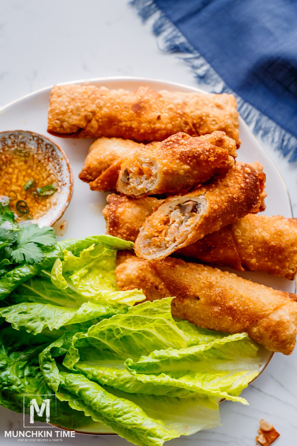 Vietnamese Spring Roll Recipe