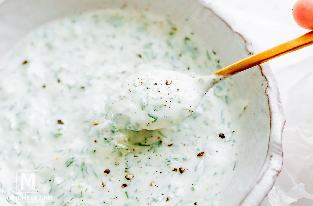 Homemade Garlic Yogurt Sauce Recipe - The Odehlicious