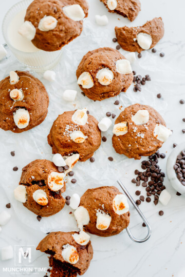 marshmallow chocolate cookies