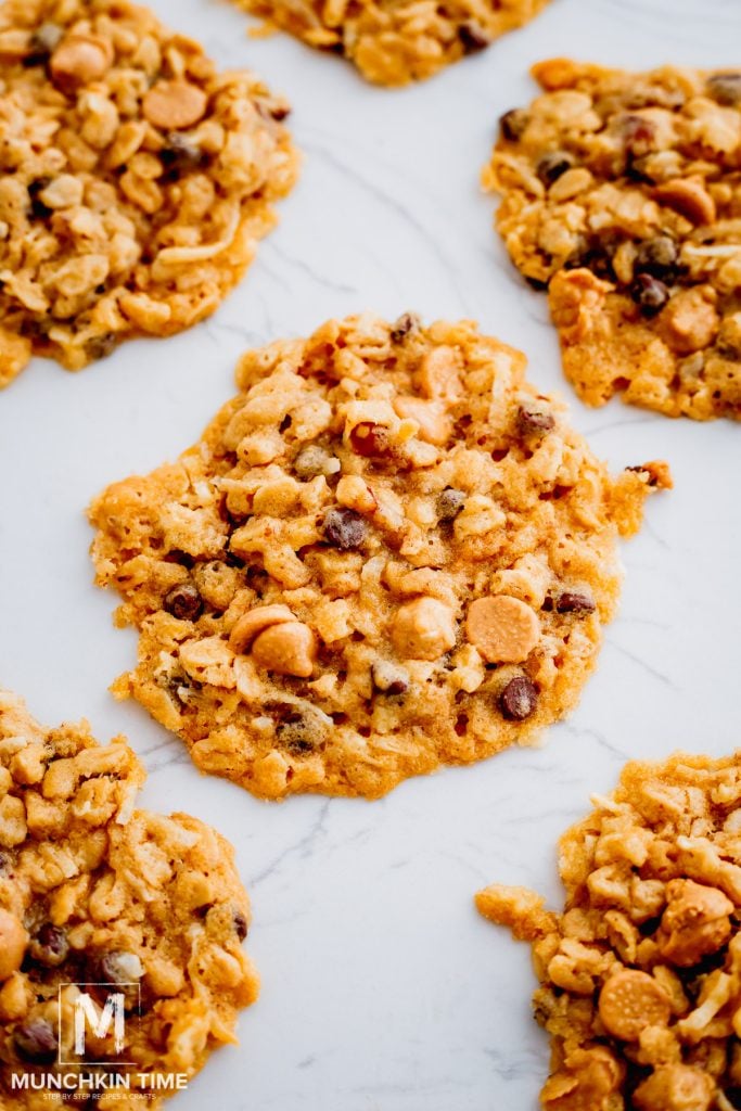 Oatmeal Chocolate Chip Cookies