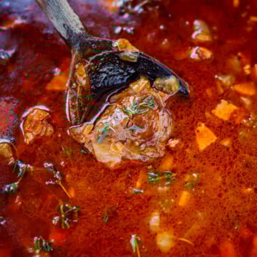 A spoonful of Guinness Beef Stew