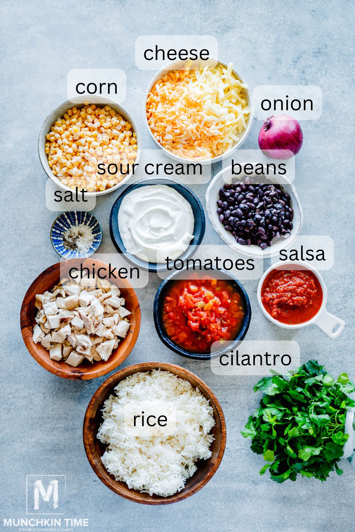 Ingredients for this Easy Mexican Rice Recipe