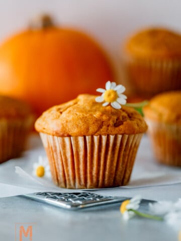sourdough pumpkin muffins