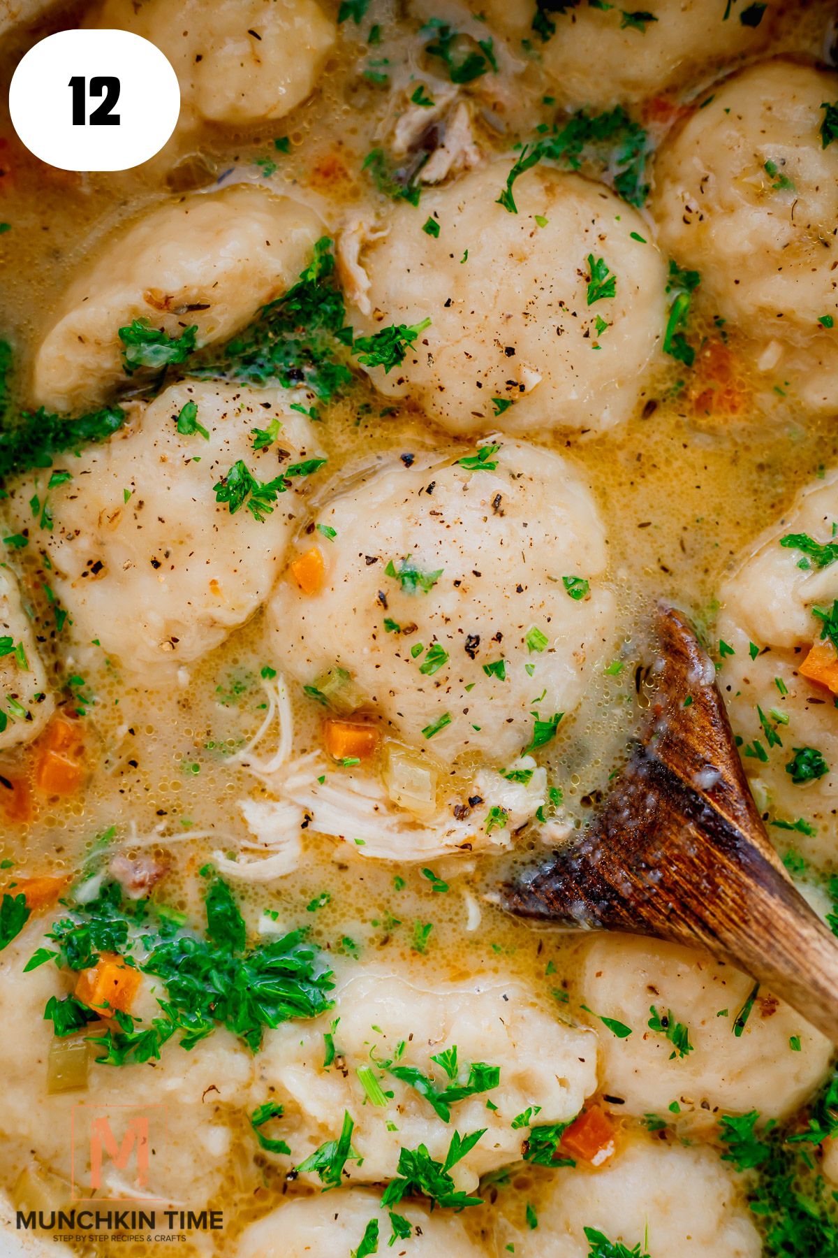 One-Pot Chicken Stew with Sourdough Dumplings