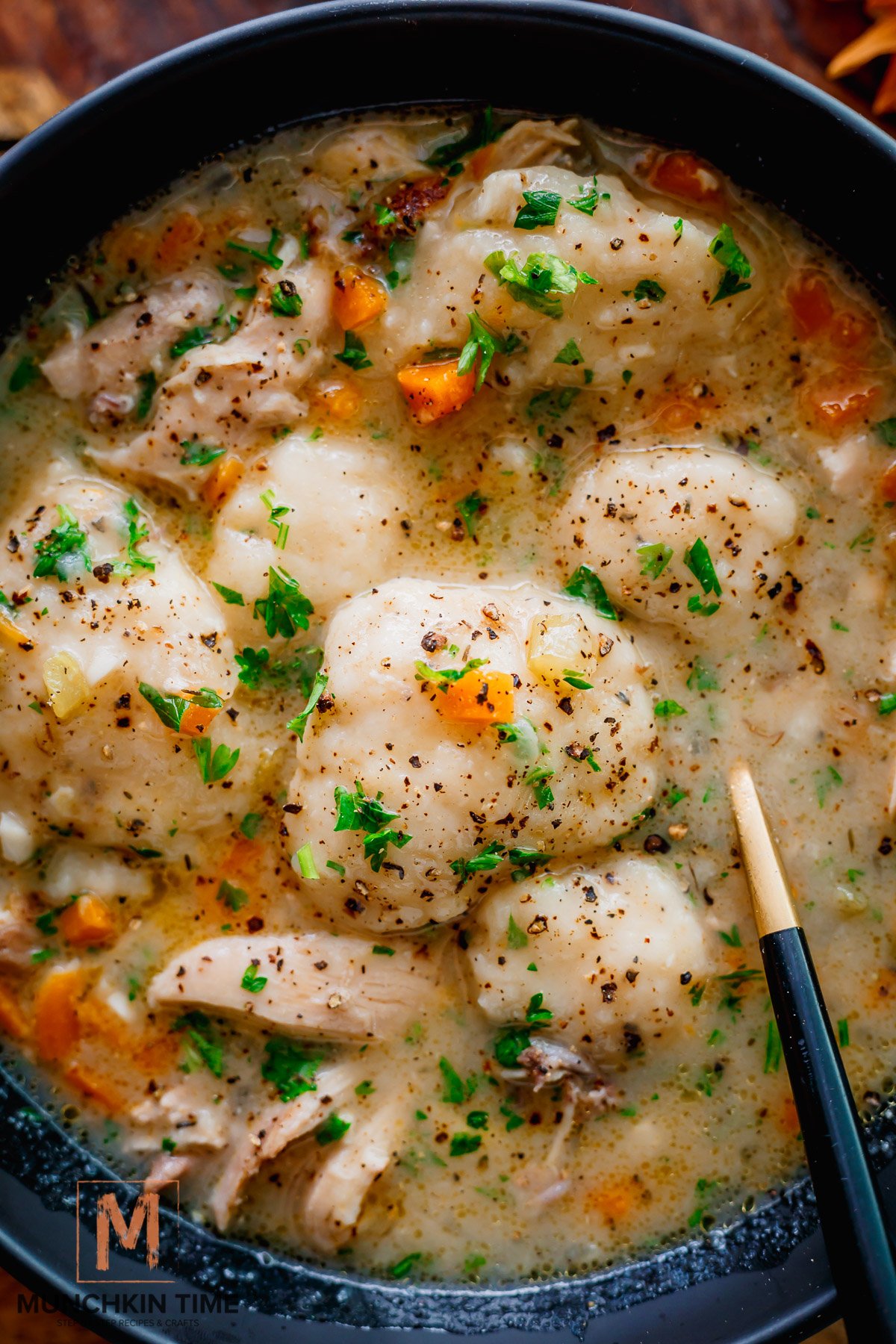 Cozy One-Pot Chicken Stew with Fluffy Sourdough Dumplings
