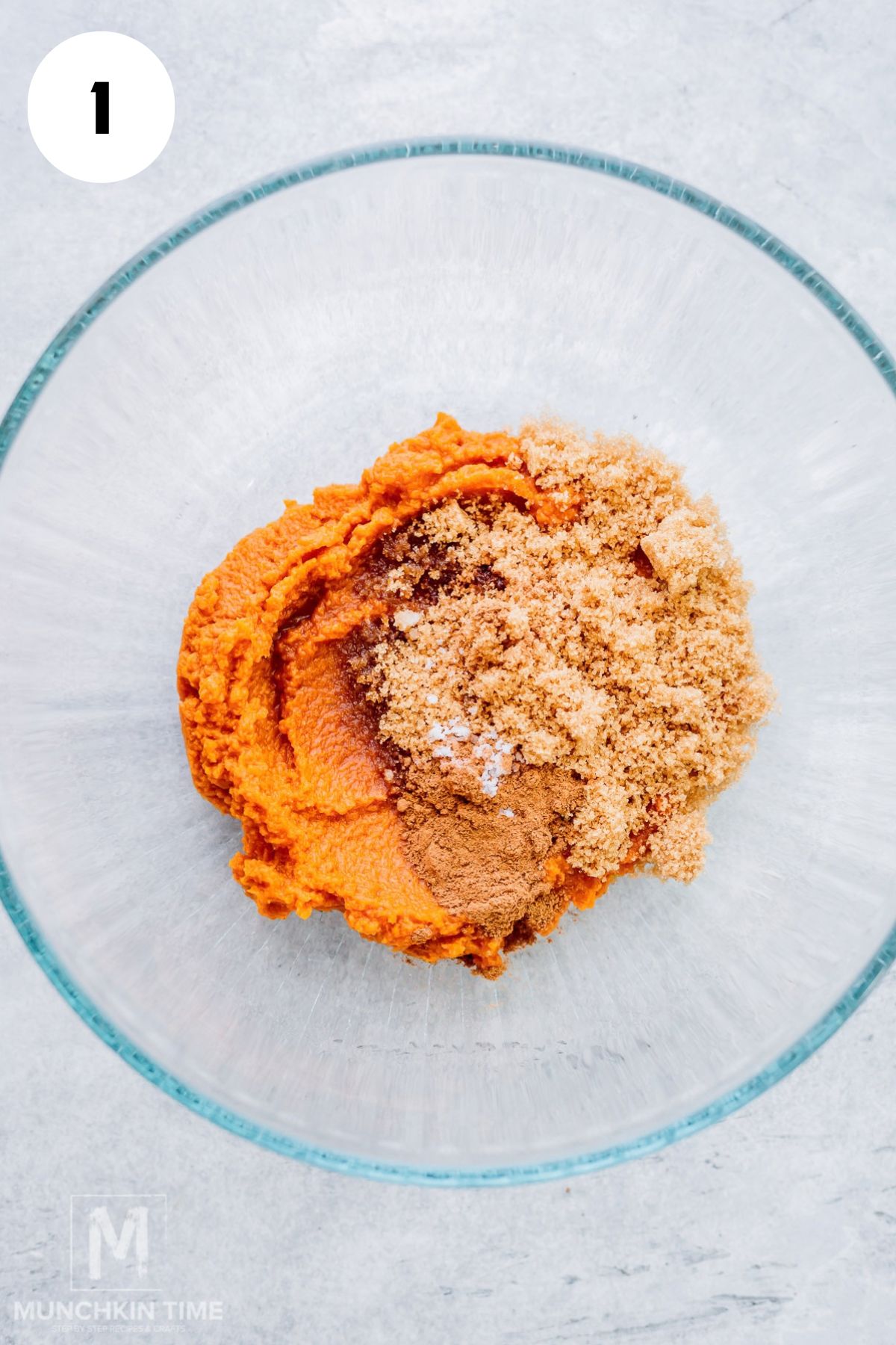 Pumpkin puree with brown sugar, pumpkin pie spice, vanilla and salt in a mixing bowl.