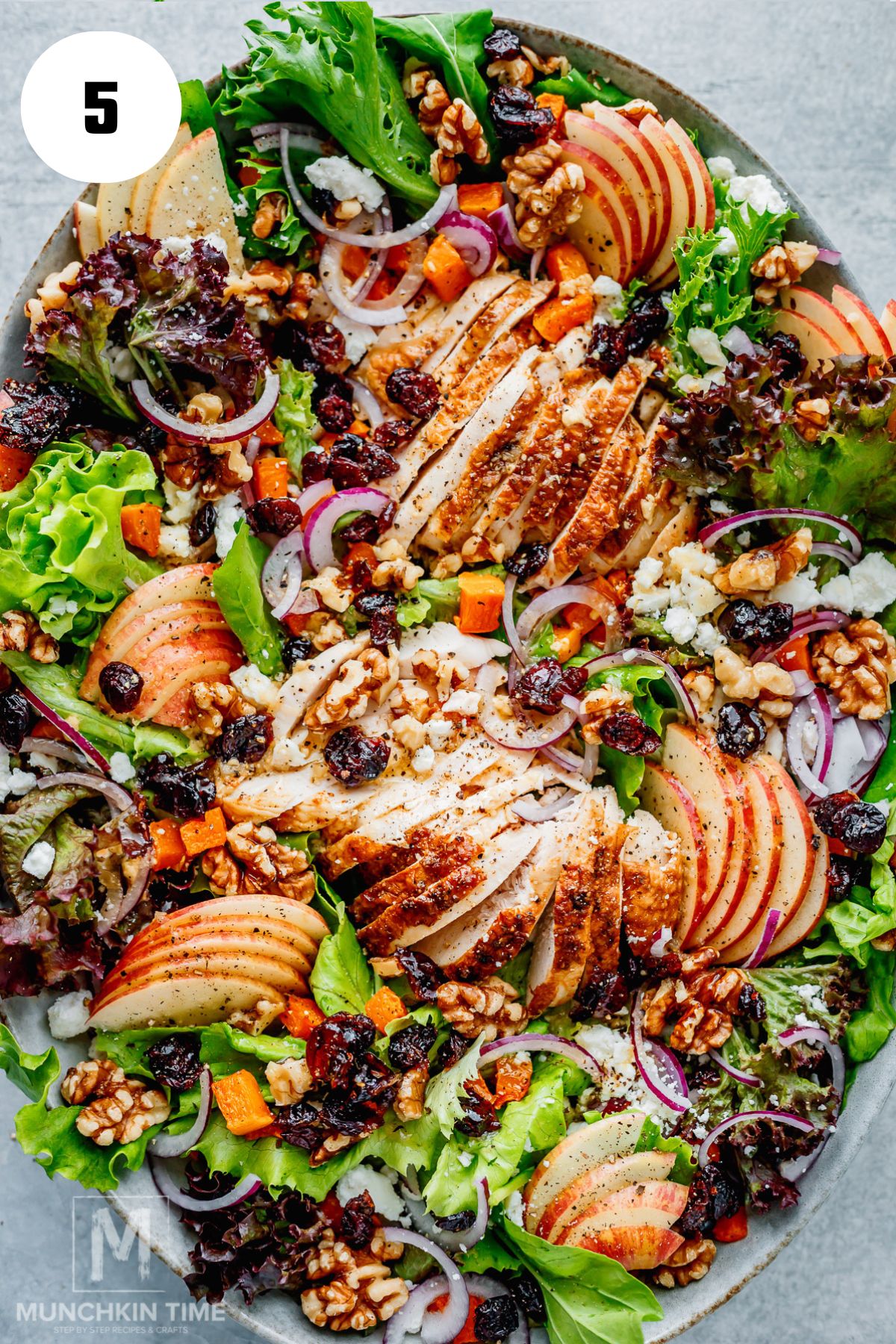 Chicken harvest salad topped with apples, goat cheese, pecans and dried cranberries