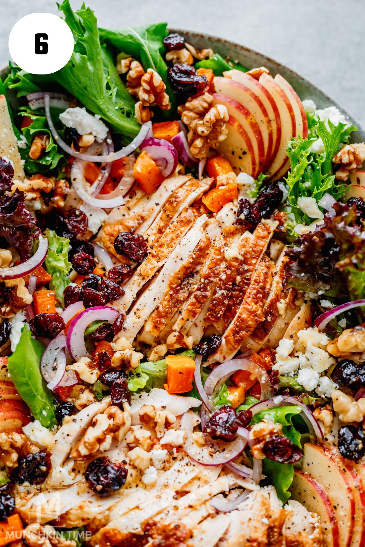 Harvest salad with sliced chicken, crisp apples, goat cheese, cranberries and pecans